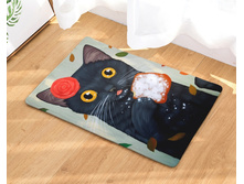 10,8 - 40�60��, 20,0 - 50�80��