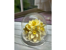 ����� �������� � ������