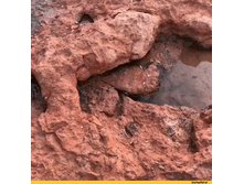 ���� - ������� �� �������� ...