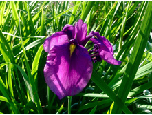 ���� ����������.jpg