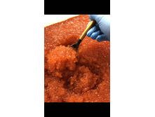 ����� 3100/��.