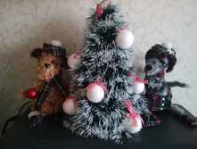 IMG 20171231 122249.jpg