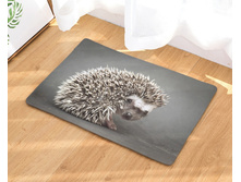 10,8 - 40�60��, 20,0 - 50�80��