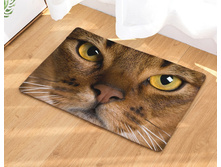 10,8 - 40�60��, 20,0 - 50�80��