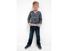 20120160169   Lepe   �����-�������.jpg