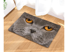 10,8 - 40�60��, 20,0 - 50�80��