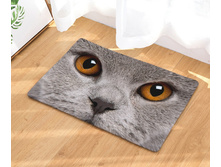 10,8 - 40�60��, 20,0 - 50�80��