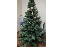 ������ ����.jpg