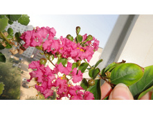 ������������ ��� ��������� ������- ������ �������� ..