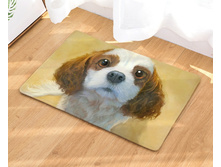 10,8 - 40�60��, 20,0 - 50�80��