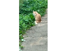 IMG 20180716 153601 HDR.jpg