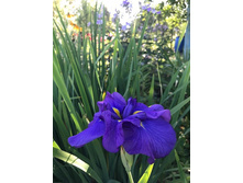 ���� �������� ������� ���� (2).jpg