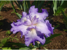 ���� ��������� ���������� Six pack.jpg