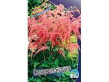 �������� �������������� (72,10)