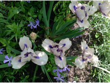 ���� ��������� ������ ��.jpg