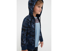 20120170051   Lewis   ����� �����.jpg