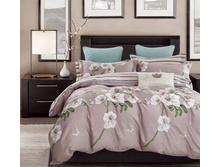 ����� ���� ���. TK-383.jpg