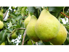 ����� ������ ����� 2�� 300�