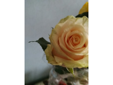 IMG 20181020 104025.jpg