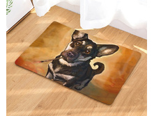 10,8 - 40�60��, 20,0 - 50�80��