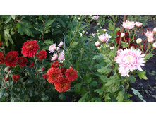 ��������� ����� � ������� ��������