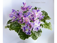 ��-������� ����.JPG