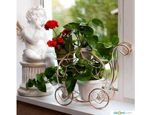 Clip2net 180405120535.png