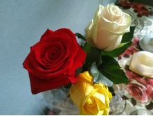 IMG 20181020 104141.jpg