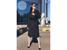 Palto-6654.jpg  2263���