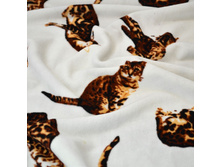 ����� - ����� �������� �� �������.jpg