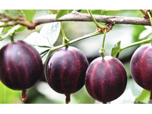 ��������� ������