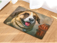 10,8 - 40�60��, 20,0 - 50�80��