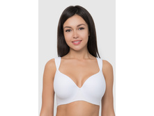 BF6054-1 �����������