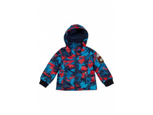 ������ ��� ��������