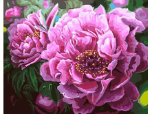 ������� �� ������� GX 4667 ��������� ����� 40*50 ����: 395.00 RUB