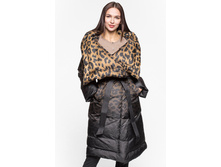17210141 leopard degrade (2).jpg