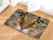 10,8 - 40�60��, 20,0 - 50�80��