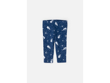 20250160018   Fava   �����-�������.jpg