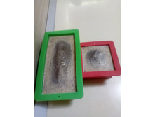 ������ ����