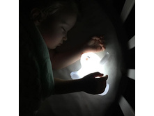 36794298 624845947900121 2505717683224313856 n.jpg