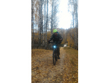 P 20181020 124622.jpg