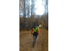 P 20181020 124551.jpg