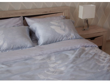 ���������� ����� �� ������� Paloma