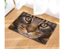 10,8 - 40�60��, 20,0 - 50�80��