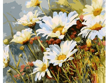 ������� �� ������� GX 7077 ������� 40*50 ����: 395.00 RUB