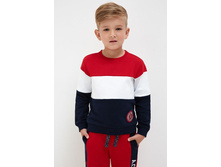 20120100137   Macmanus   �������.jpg