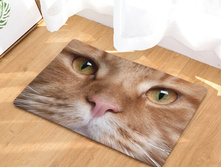 10,8 - 40�60��, 20,0 - 50�80��