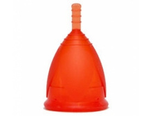 ������������� ���� ������� L (�������) 675 ���.