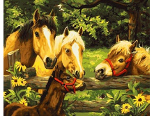 GX 3874 ������ � ���� ����: 395.00 RUB