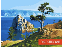 ������� �� ������� GX 24660 �������� �ԣ� 40*50 ����: 395.00 RUB